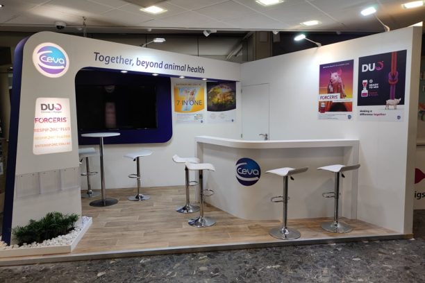 kiállítás kivitelezés